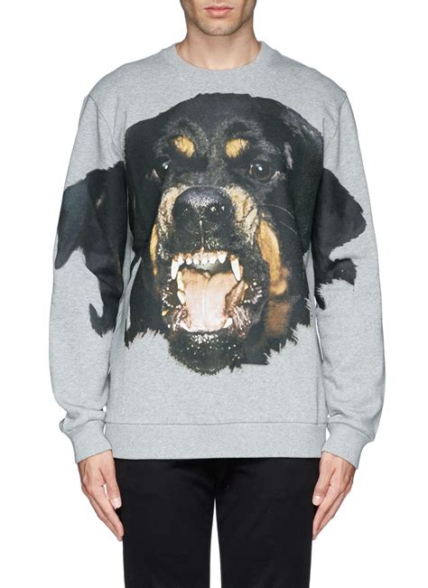 givenchy black rottweiler sweater|Givenchy grey rottweiler sweater.